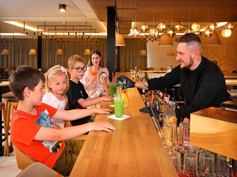 Wellness Hotel Svornost image