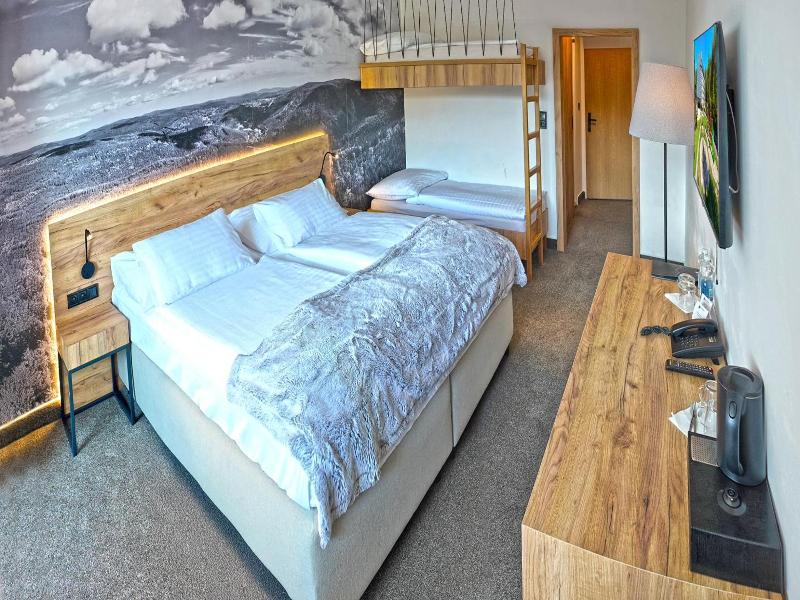 Wellness Hotel Svornost image
