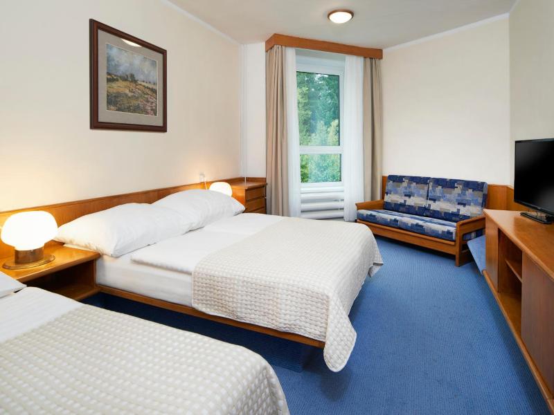 Wellness Hotel Svornost image