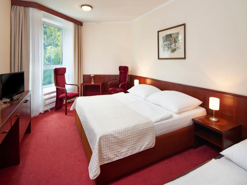 Wellness Hotel Svornost image
