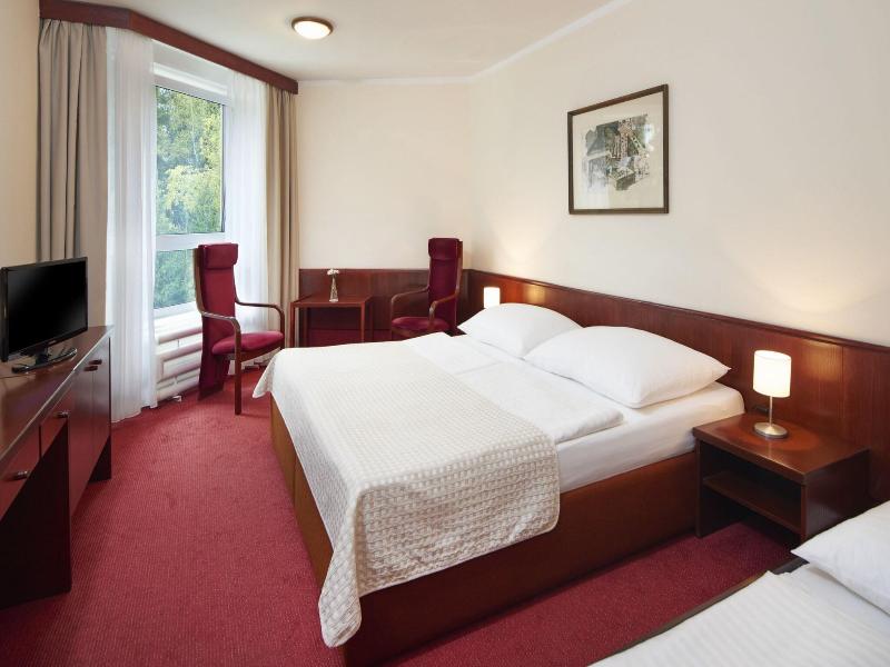 Wellness Hotel Svornost image