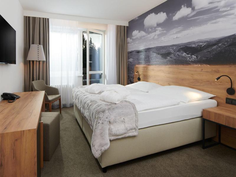 Wellness Hotel Svornost image