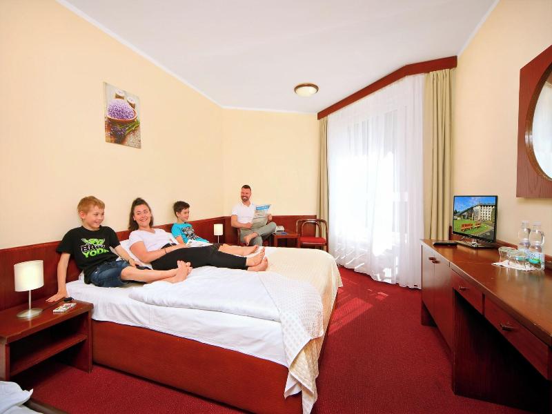 Wellness Hotel Svornost image