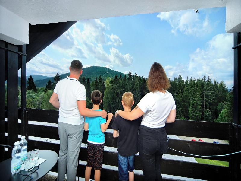 Wellness Hotel Svornost image