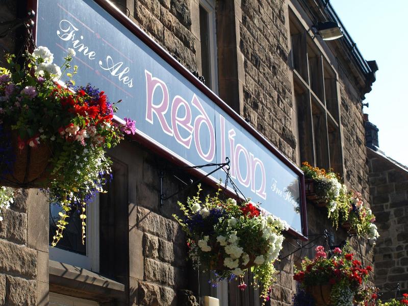 The Red Lion image