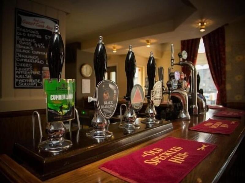 The Red Lion image