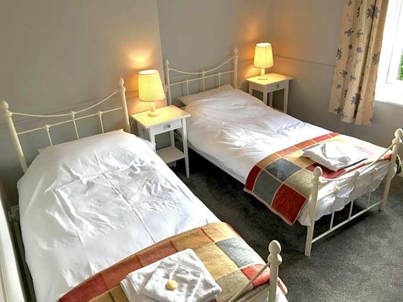 The Red Lion image