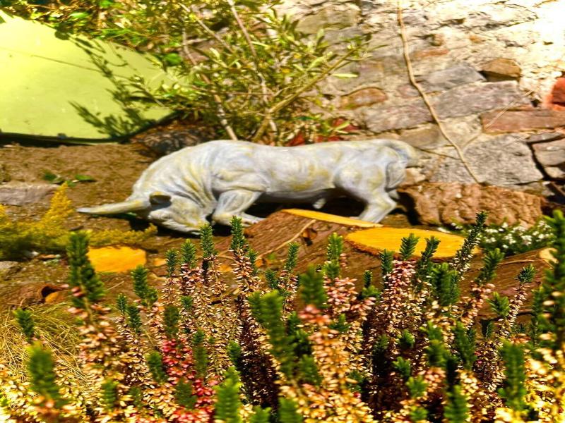 Bull Hotel image