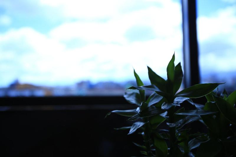 Line Hotel image