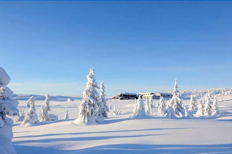 Pellestova Hotell Hafjell — general view