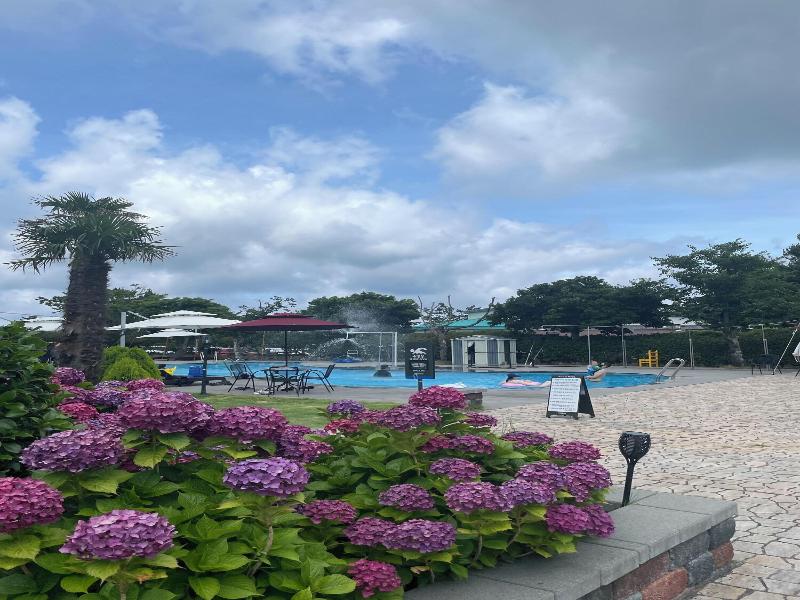 Jeju Bali Resort image