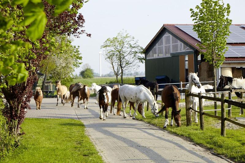 Traberhof image