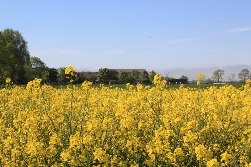 Traberhof image