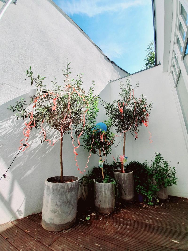 Maison Marsil Boutique Hotel image