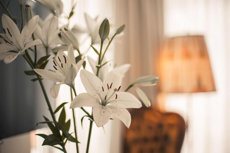 Maison Marsil Boutique Hotel image