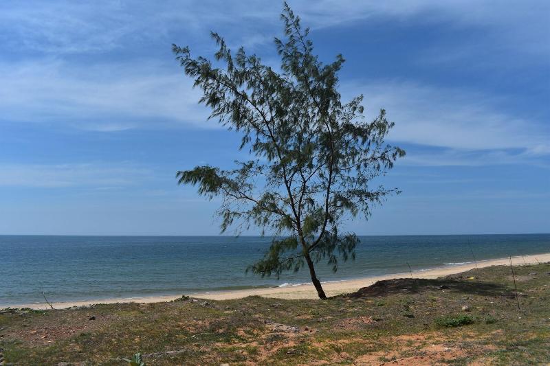 Son Tra Guest House image