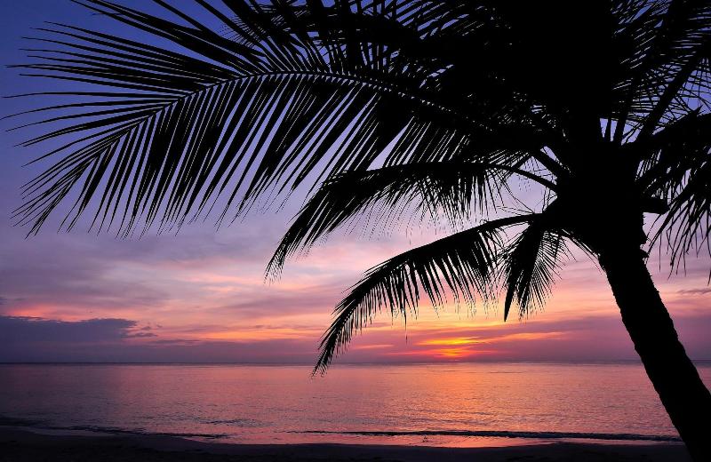 Mayan Princess Beach & Dive Resort - All Inclusive image