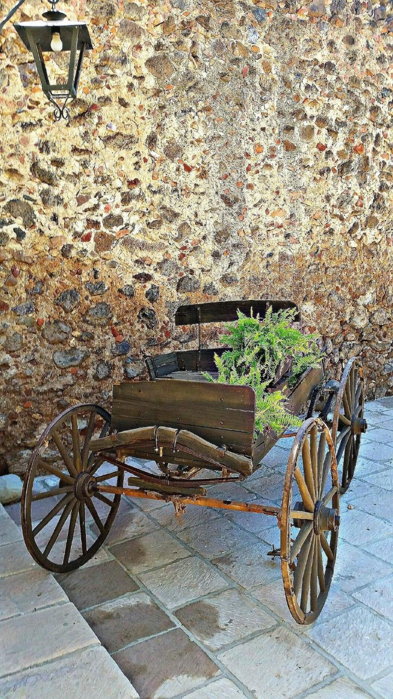 Collection O Hacienda El Salitre image