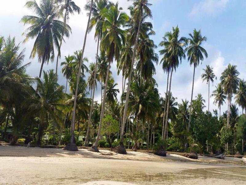 Dusita Resort Kohkood image