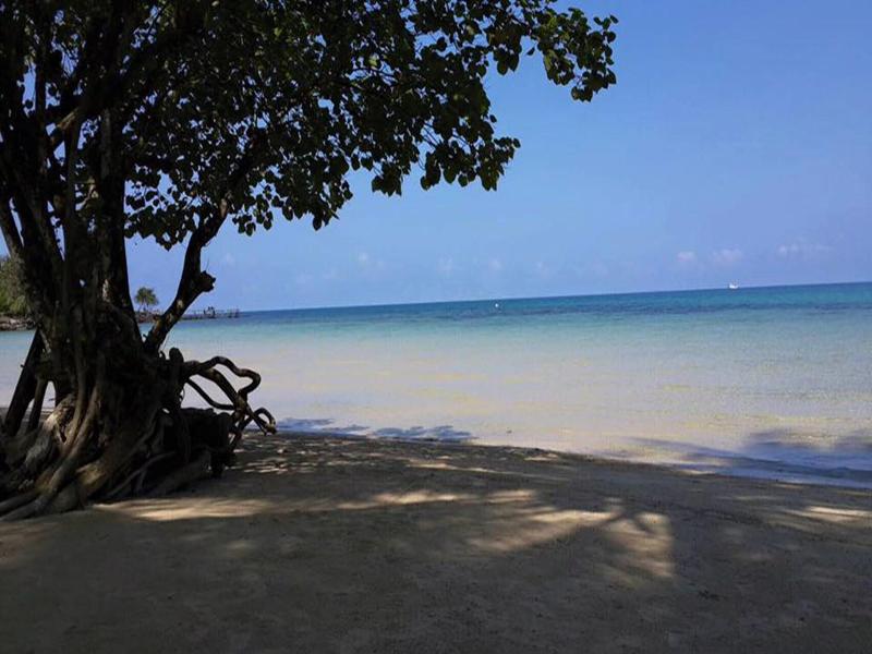 Dusita Resort Kohkood image