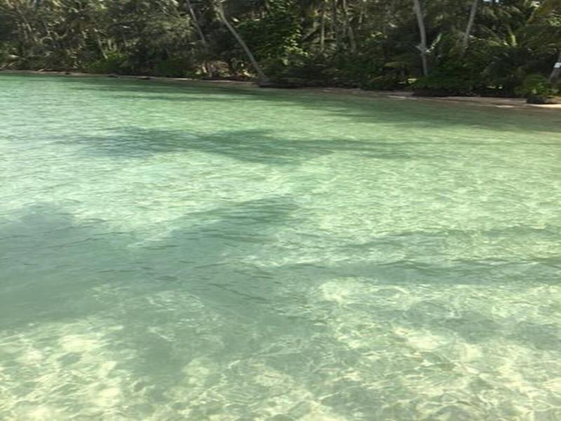 Dusita Resort Kohkood image