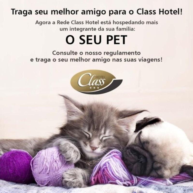 Class Hotel Rio Claro image