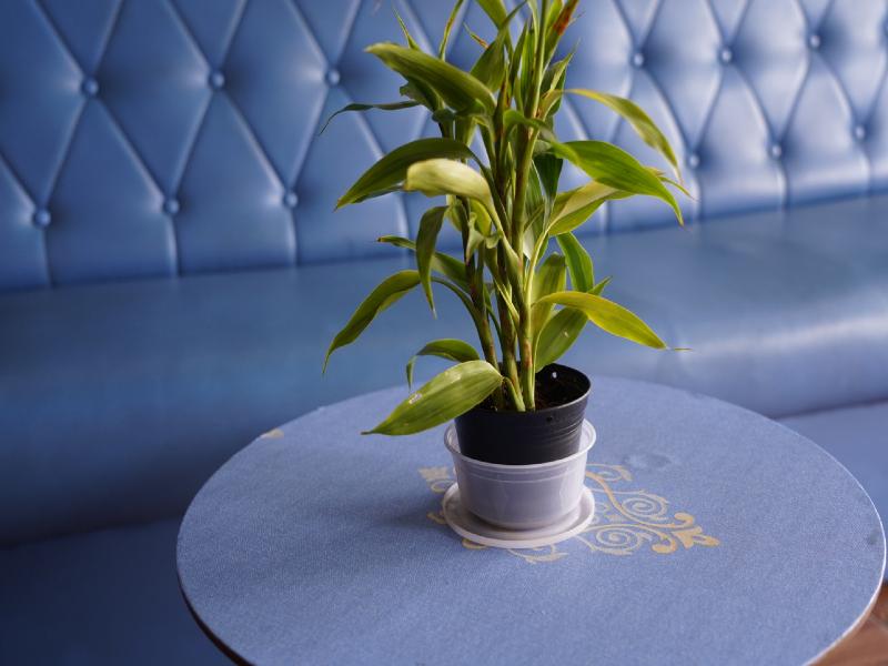 New Season Riverside Hotel image