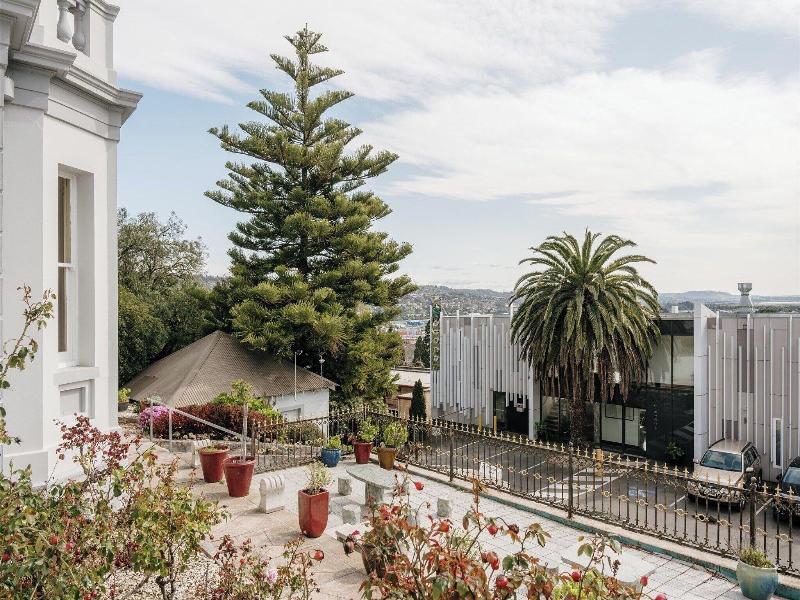 Areca Launceston