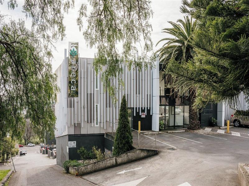Areca Launceston