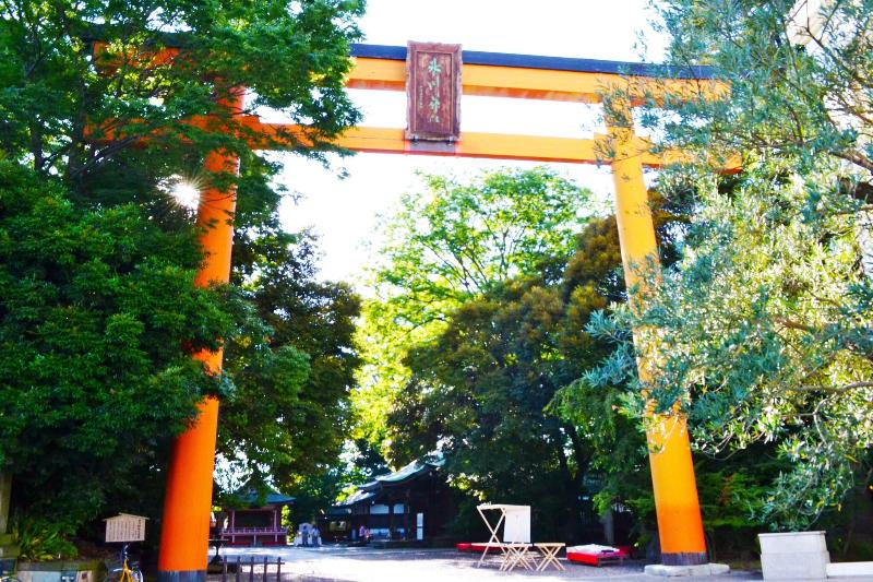 Ryokan Matsumuraya image