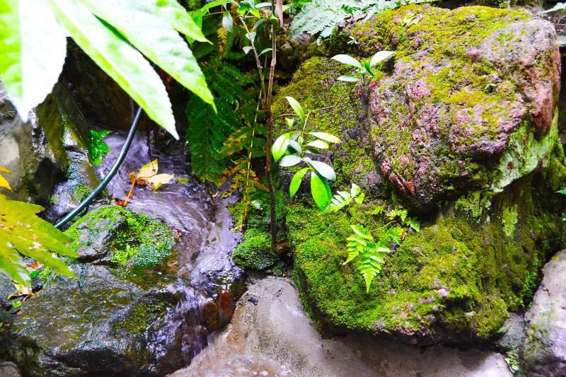 Ryokan Matsumuraya image