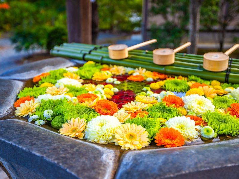 Eph Kyoto image