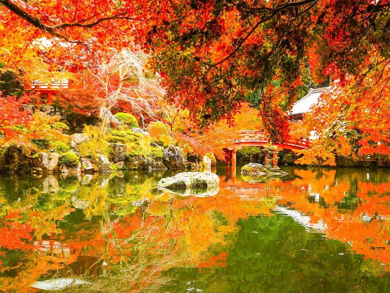 Eph Kyoto image