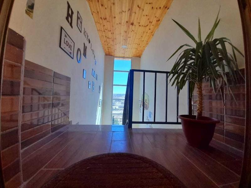 Petra Cabin Hostel image