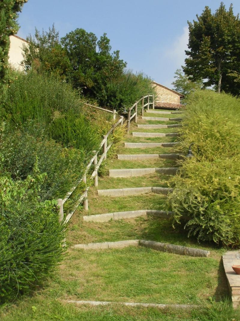 Villa Ducci image