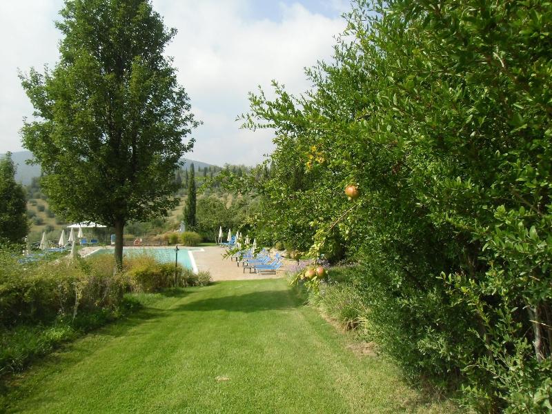 Villa Ducci image