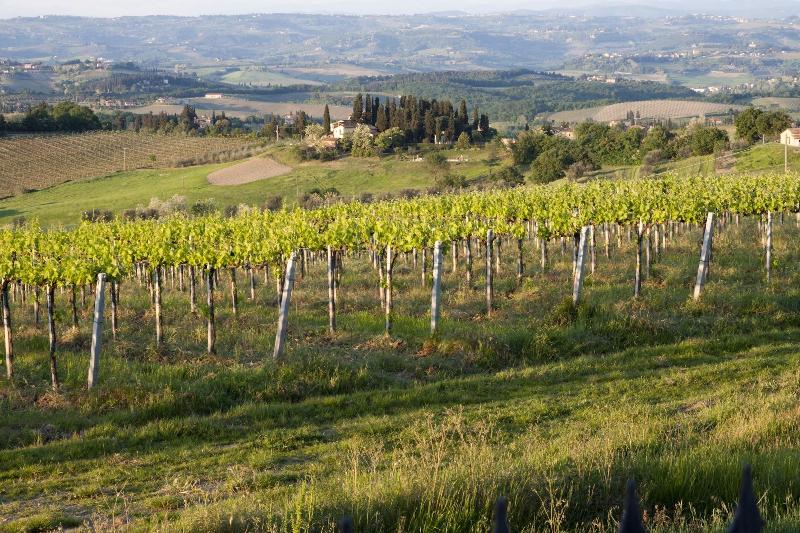 Villa Ducci image