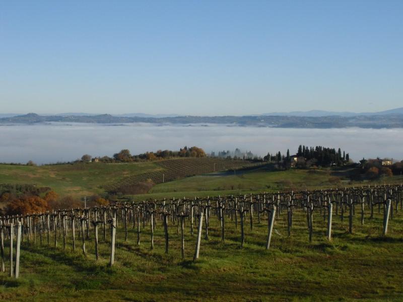 Villa Ducci image