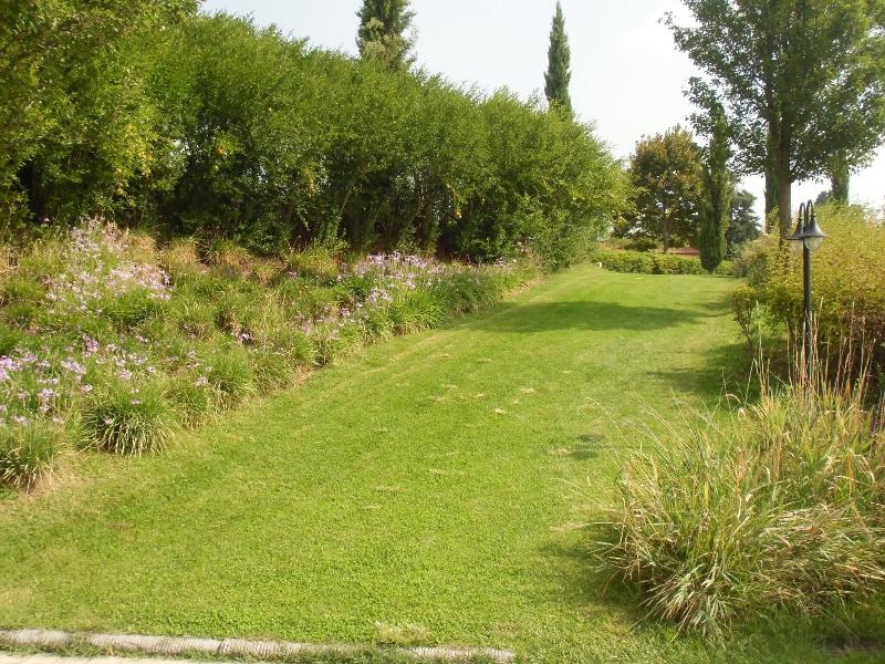 Villa Ducci image