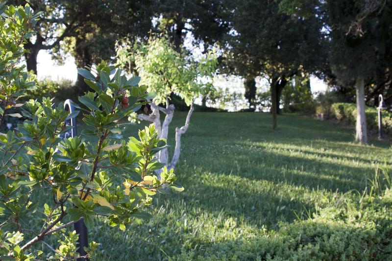 Villa Ducci image