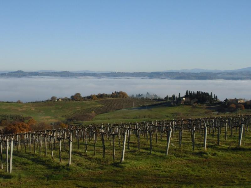 Villa Ducci image