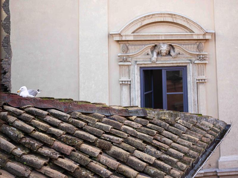 Casa de' Fiori Biscione image