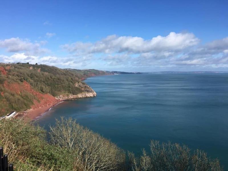 The Downs Babbacombe image