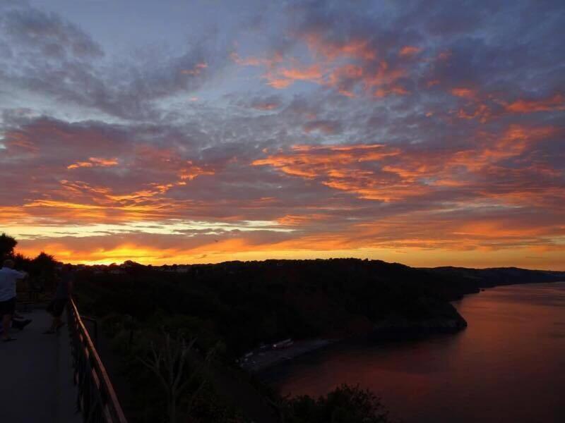 The Downs Babbacombe image