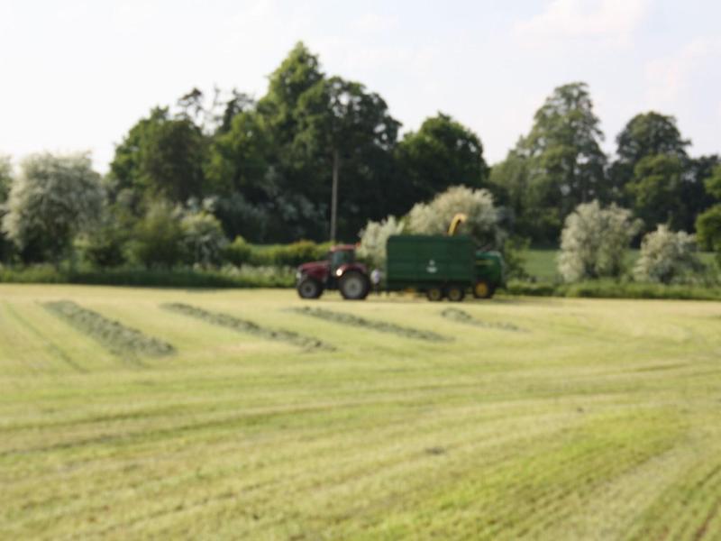 Manor Farm Bed & Breakfast image