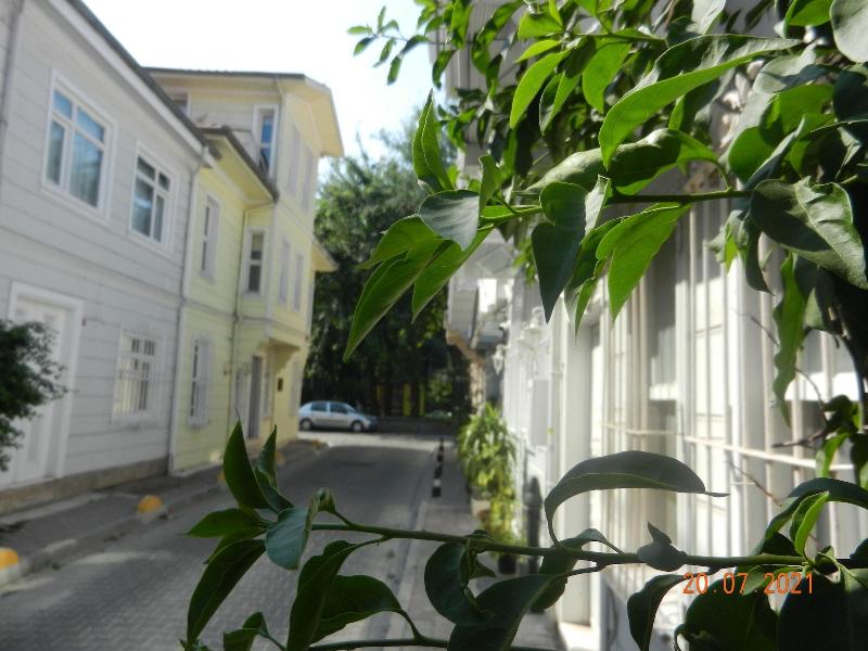 Royal Suites Sultanahmet image