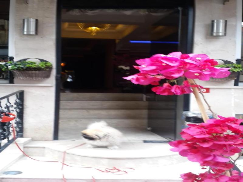 Pearl Hotel Istanbul image