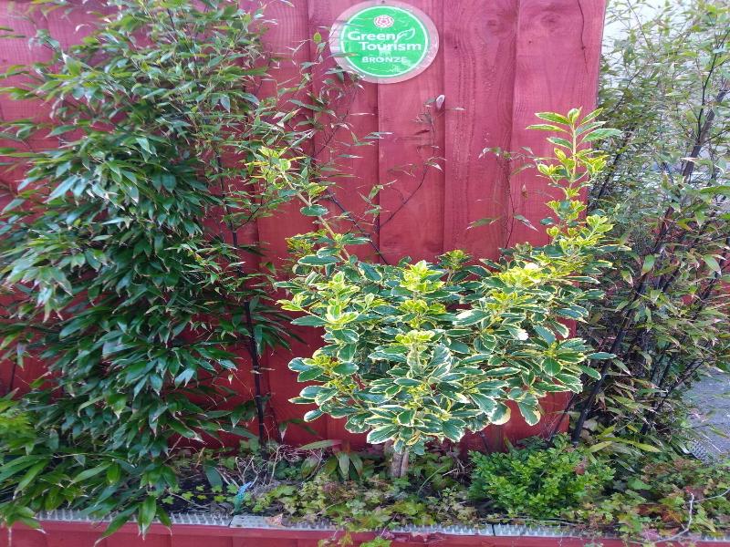 Haven House image