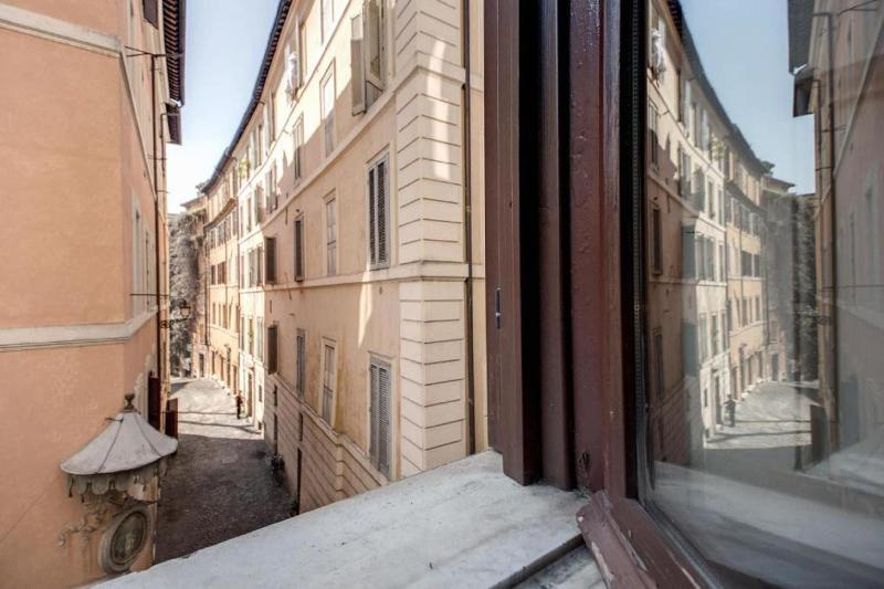 Domus Coronari image