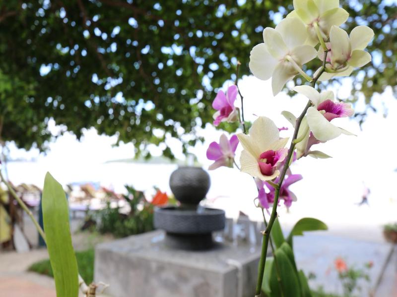 Marine Chaweng Beach Resort image